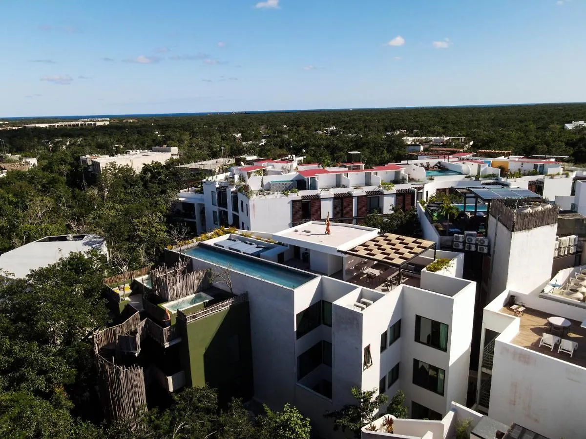 Azalea By Zama Homes Tulum