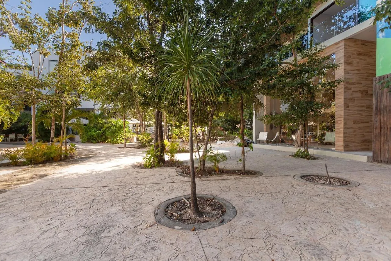 Apartment Azalea By Zama Homes Tulum Mexico