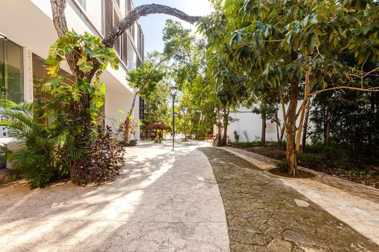 Azalea By Zama Homes Tulum