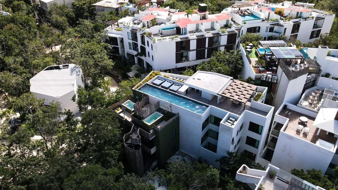Azalea By Zama Homes Tulum
