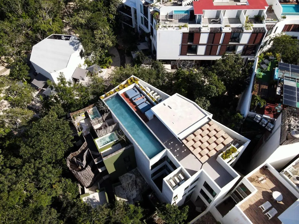 Azalea By Zama Homes Tulum Mexico