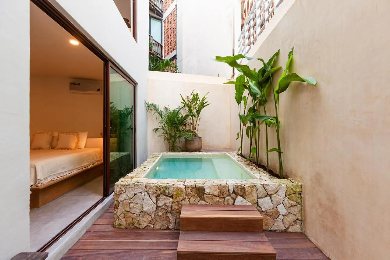 Azalea By Zama Homes Tulum Mexico